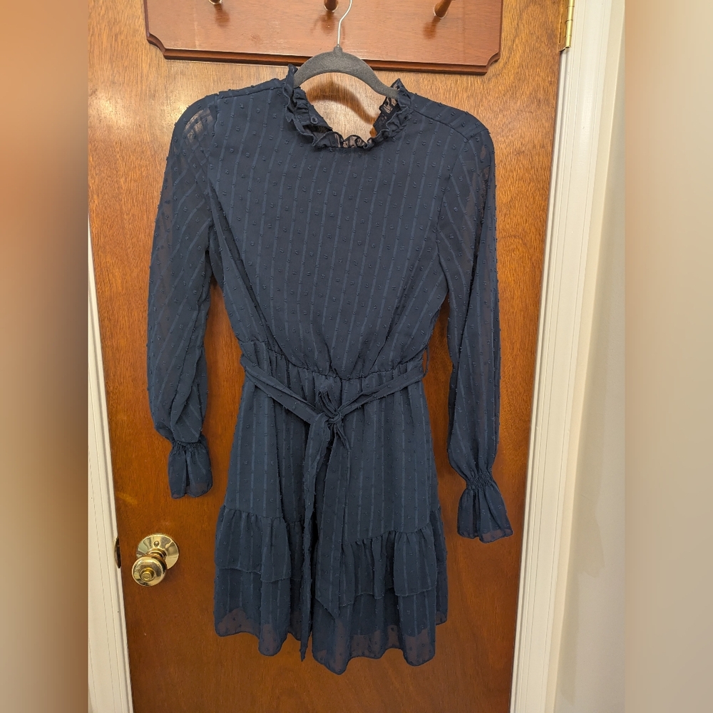 Long Sleeve Navy Swiss Dot Dress